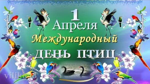День птиц.